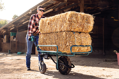 wheelbarrows & dollies list