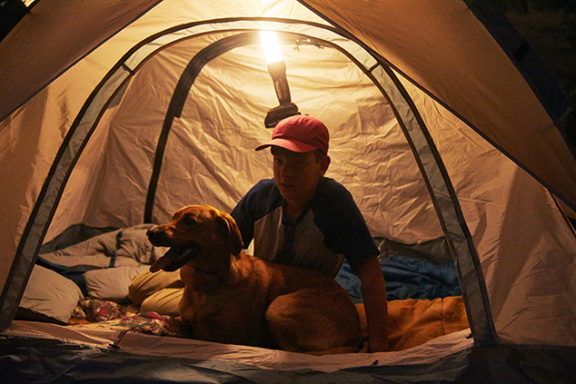 UP TO 11 HOURS OF ILLUMINATION