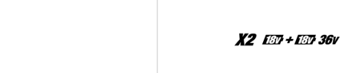 LXT X2 logo
